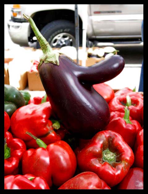 eggplant-mcpurplehead