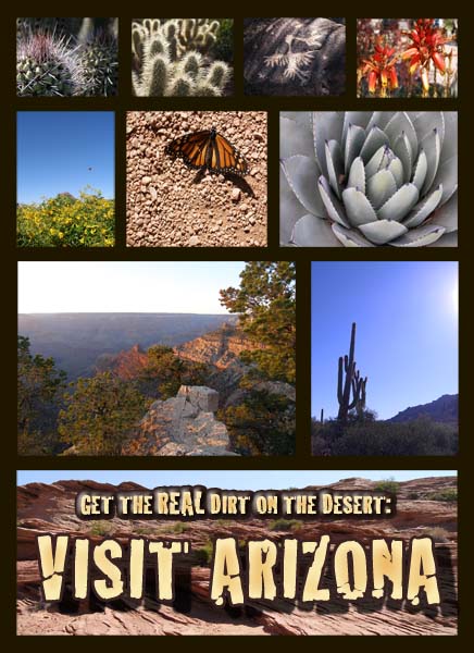 real-dirt-az