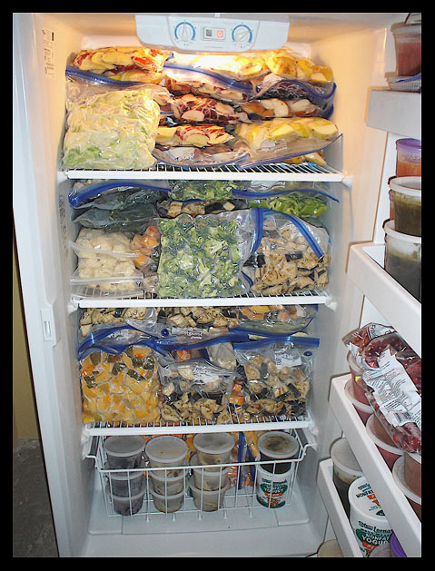 freezer11
