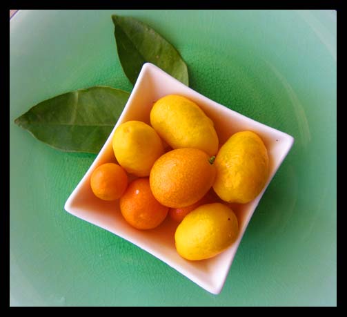 kumquats