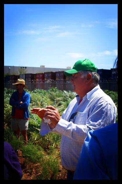 Farmer Frank