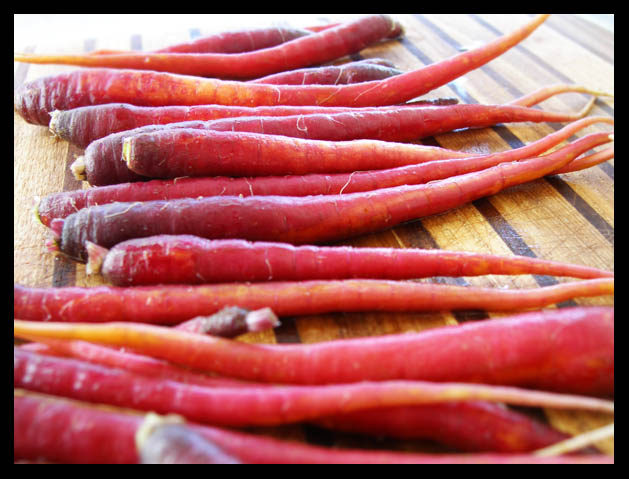 purple-carrots.jpg